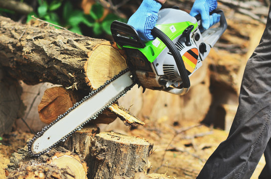 A man in blue mitts cuts a piece of wood from a chainsaw