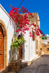 Traditional greek houses with spring flowers on Rhodes island. Lindos village, Dodecanese, Greece. © vivoo