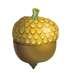 Brown acorn isolated on white background close up. Autumn element for your design. Vector illustration.