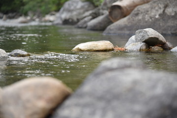 Closeup of river