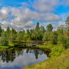 Summer morning on the banks of the river mga in the Leningrad region.