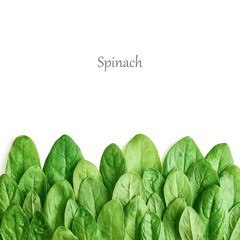Border from spinach leaves
