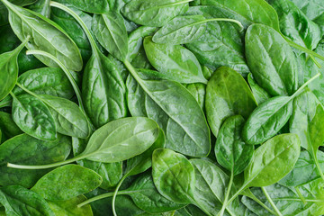 Fresh spinach leaves