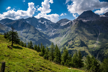 Fototapeta na wymiar Alpine valley on a beautiful summer day