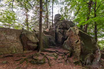 Kamienny krajobraz, korzenie drzewa