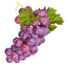 Fresh grapes isolated on white background with clipping pass