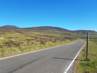 Fototapeta premium Scottish countryside 