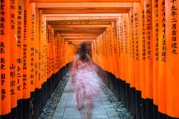 path across red toriis in fushimi inari,  japan