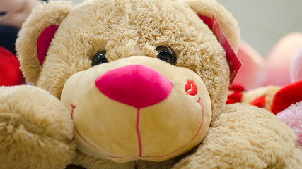 A close up of a brown teddy bear