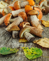 Fresh porcini mushrooms on rustic wooden background, side view