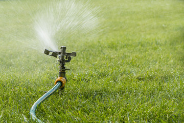Fototapeta na wymiar Garden irrigation system watering lawn. watering the lawn in the hot summer