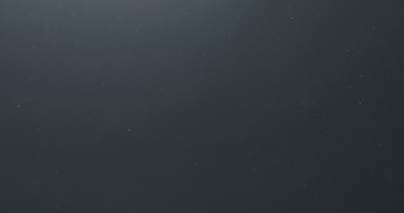 backlit dust particles floating in the air on a black background