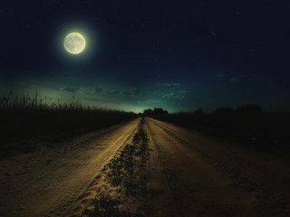 Beautiful magic night sky with fullmoon and stars and  road receding into the distance with  green...