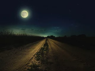 Foto auf Acrylglas Wunderschöner magischer Nachthimmel mit Vollmond und Sternen und Straße, die sich mit grünem Gras in die Ferne zurückzieht © volhavasilevich