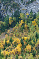 Herstfarben colorieren die Landschaft bei Oberlech in Österreich