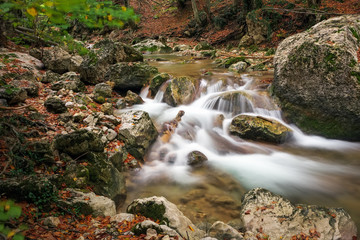 Autumn creek woods with yellow trees foliage and rocks in forest mountain.