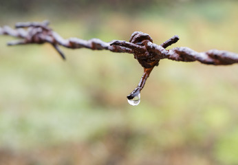 water on barbed wire