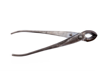 A old concave clipper for bonsai isolated