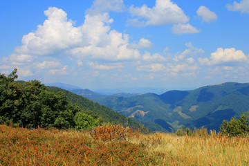 Carpathians. Summer. Polonina