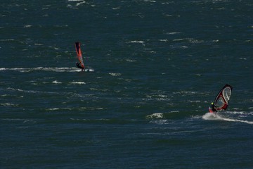 two sailboarders skim across the waters of San Francisco Bay, summer, 2018