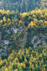 Fototapeta na wymiar Herstfarben colorieren die Landschaft bei Oberlech in Österreich