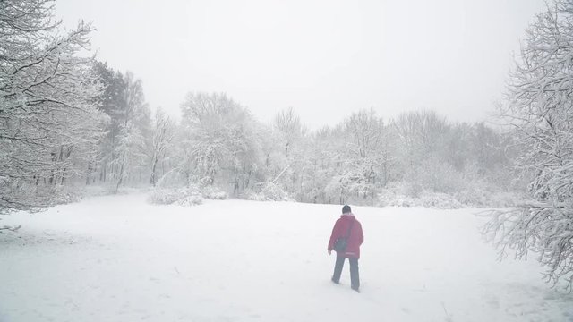 Snow walk