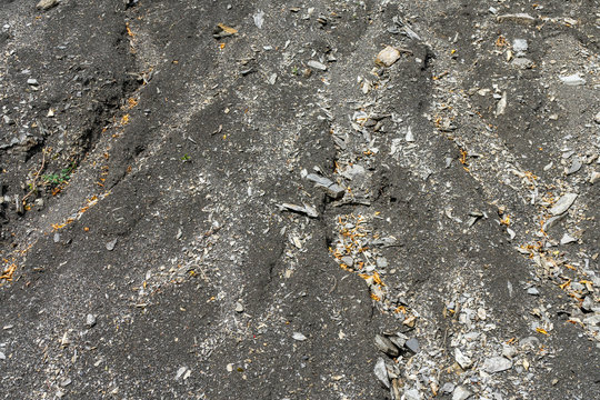 Sfondo di sabbia grigio antracite con la presenza di sassi e alcune foglie gialle