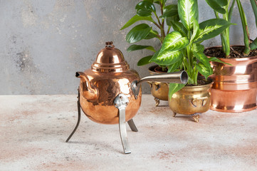 Vintage copper teapot and green plants