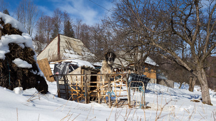 Romanian village on a cold day of winter