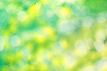 Obraz premium Abstract background of blur selective focus of morning garden of foliage tree with bokeh