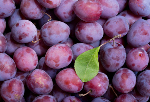 fresh plums as background, top view