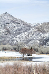 winter scene in the northern utah mountain range near park city 