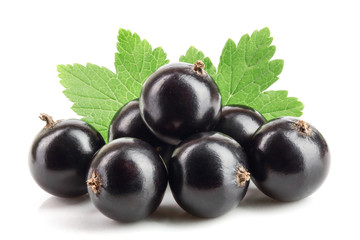 black currant with leaf isolated on white background