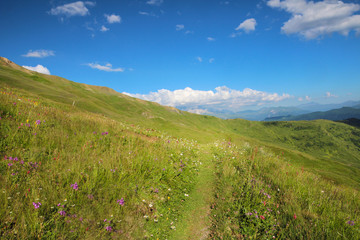 Green path in the Georgian mountains with green valleys, Georgia, Great Caucasus
