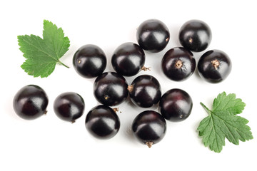 black currant with leaf isolated on white background. Top view. Flat lay pattern