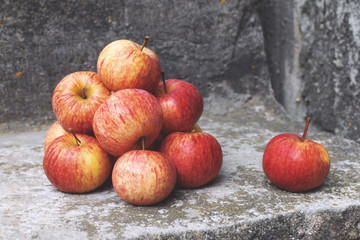 fresh red apples on stone