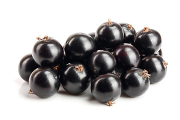 black currant heap isolated on white background