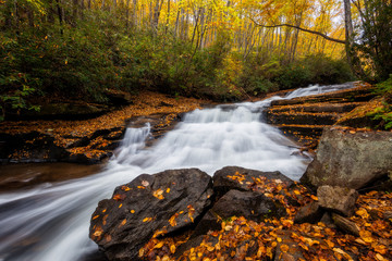 Fototapeta premium Fall colors and cascading water, Blue Ridge Parkway, North Carolina