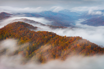 Autumn colors and morning fog, Cumberland Gap National Park
