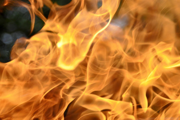 Fire. Wood burning in the fire. Orange flame. Tongue of flame.