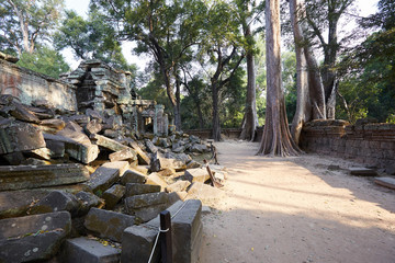 캄보디아 씨엠립의 타프롬사원