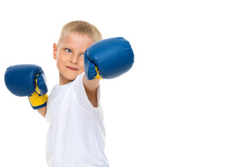 A little boy in a clean white T-shirt and boxing gloves.