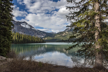 Emerald Lake is located in Yoho National Park, British Columbia, Canada.[1] It is the largest of...