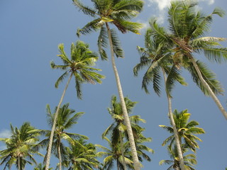 C&eacute;u de Litoral