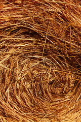 Hay and straw texture
