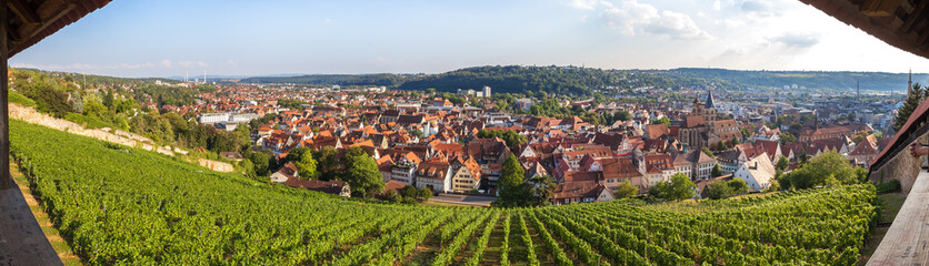 historic town esslingen germany high definition panorama