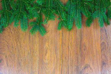 A top border of spruce branches