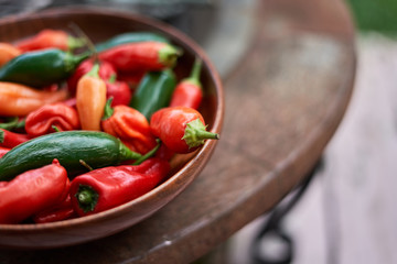 peppers as art 4