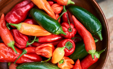 peppers as art 3