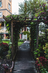 Garden Pathway through Pergola with vines and flowers around